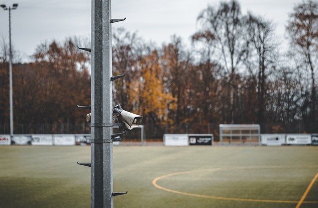 在过去几个 在过去几个