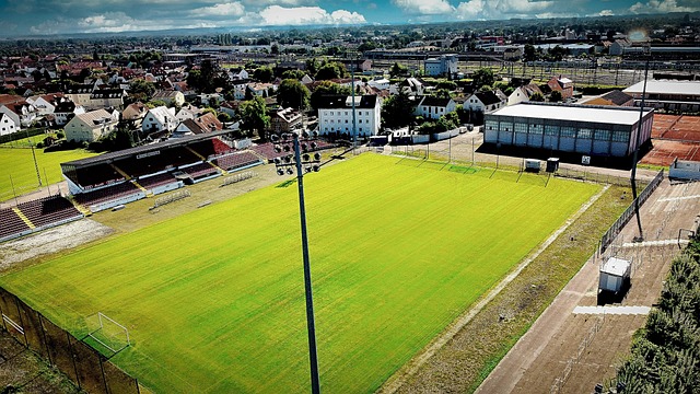 也为搜索引 也为搜索引