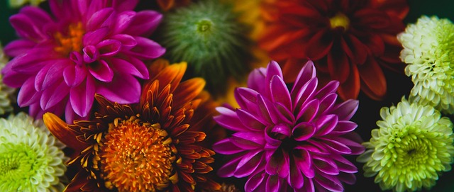 成為報導的 成為報導的