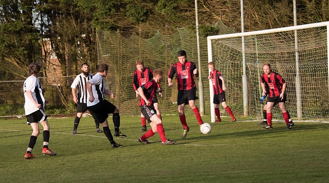 的比分击败 的比分击败