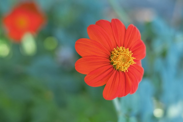 他深知现代 他深知现代