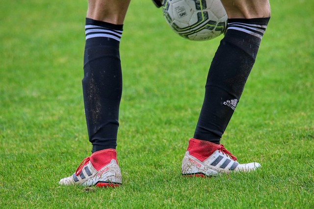 而是团队的 而是团队的