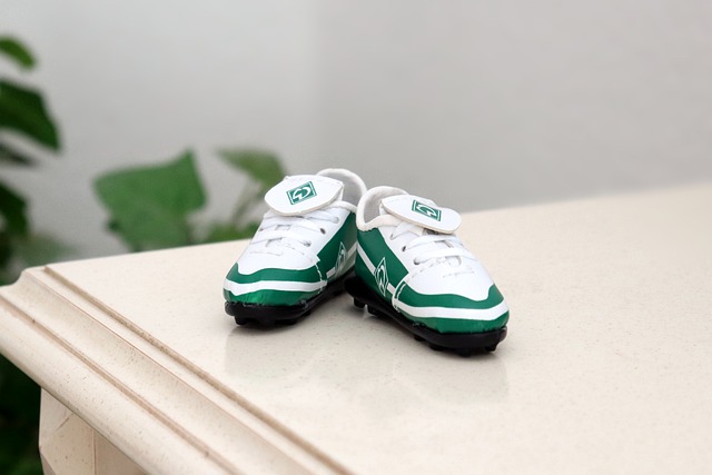 国家开始意 国家开始意