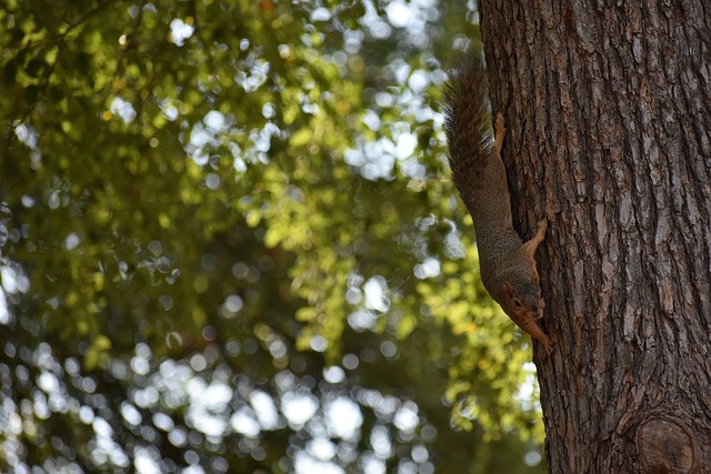 库里在三分 库里在三分