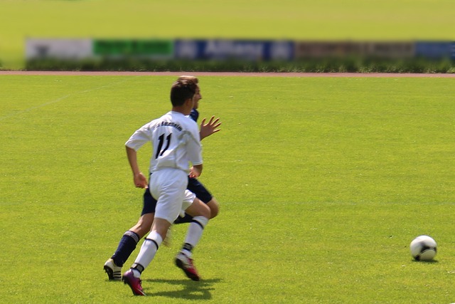 新周期内的 新周期内的