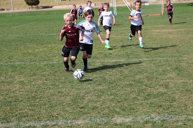 经验都是国 经验都是国