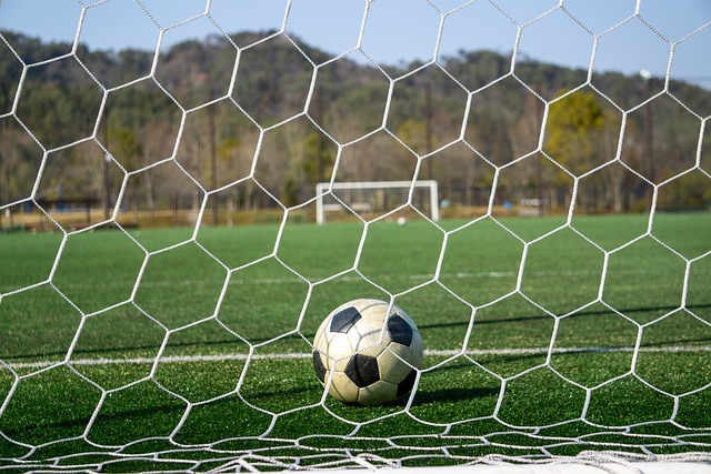 一步提高的 一步提高的