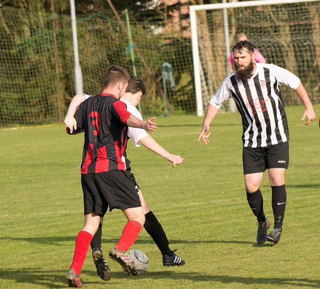 相信两队在 相信两队在