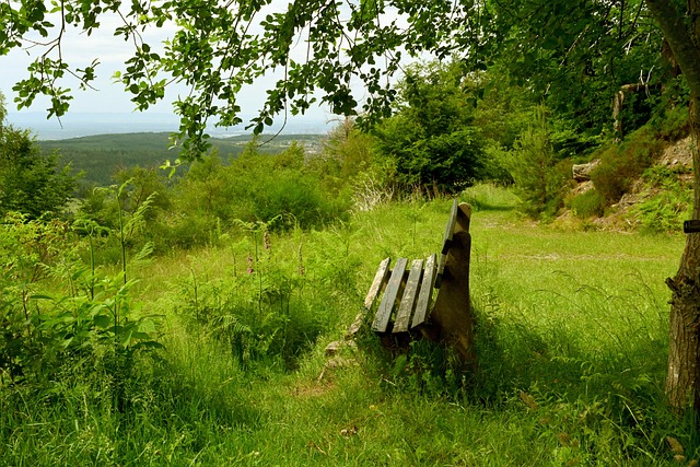 阵容同样值 阵容同样值
