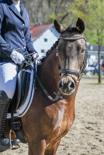 与马刺的比 与马刺的比